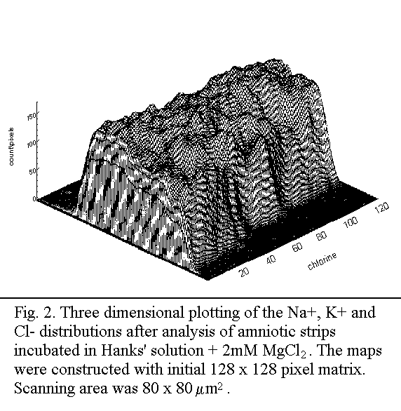 Figure 2, part c.