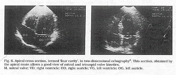 Dur33 Figure 6