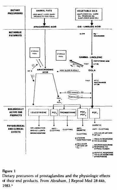 Guy Abraham Figure 1